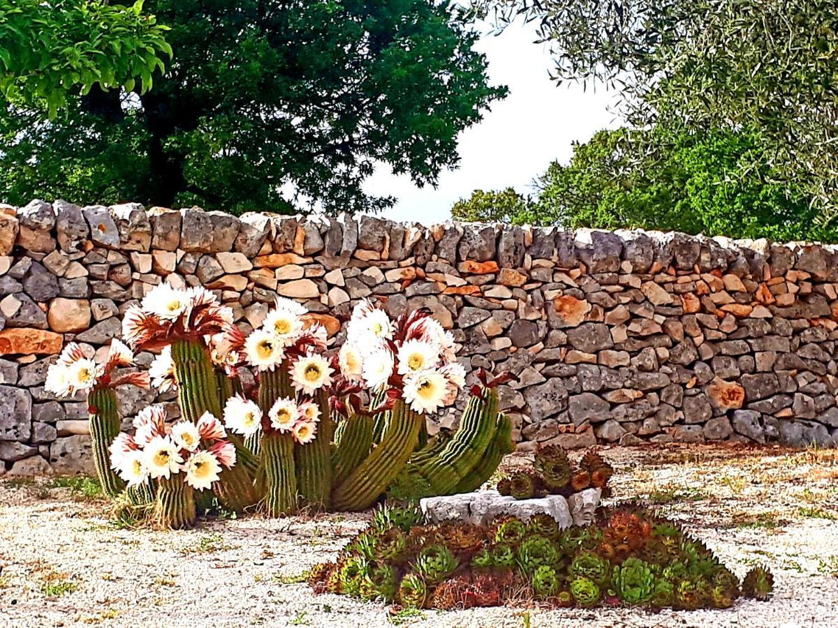 Casa Relax Isabelle Bed and Breakfast Alberobello Exterior foto